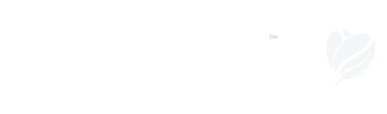 STORYLINE
