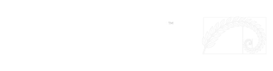 STORYLINE